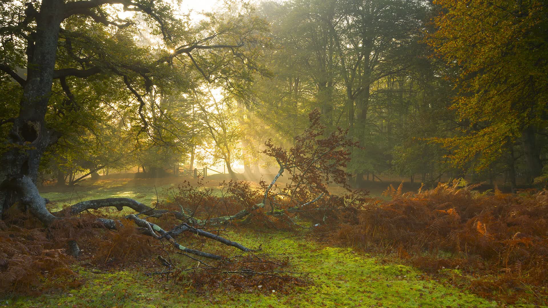 世界保龄球青年联赛线上线下教学混合模式效果报告，保龄球世界比赛