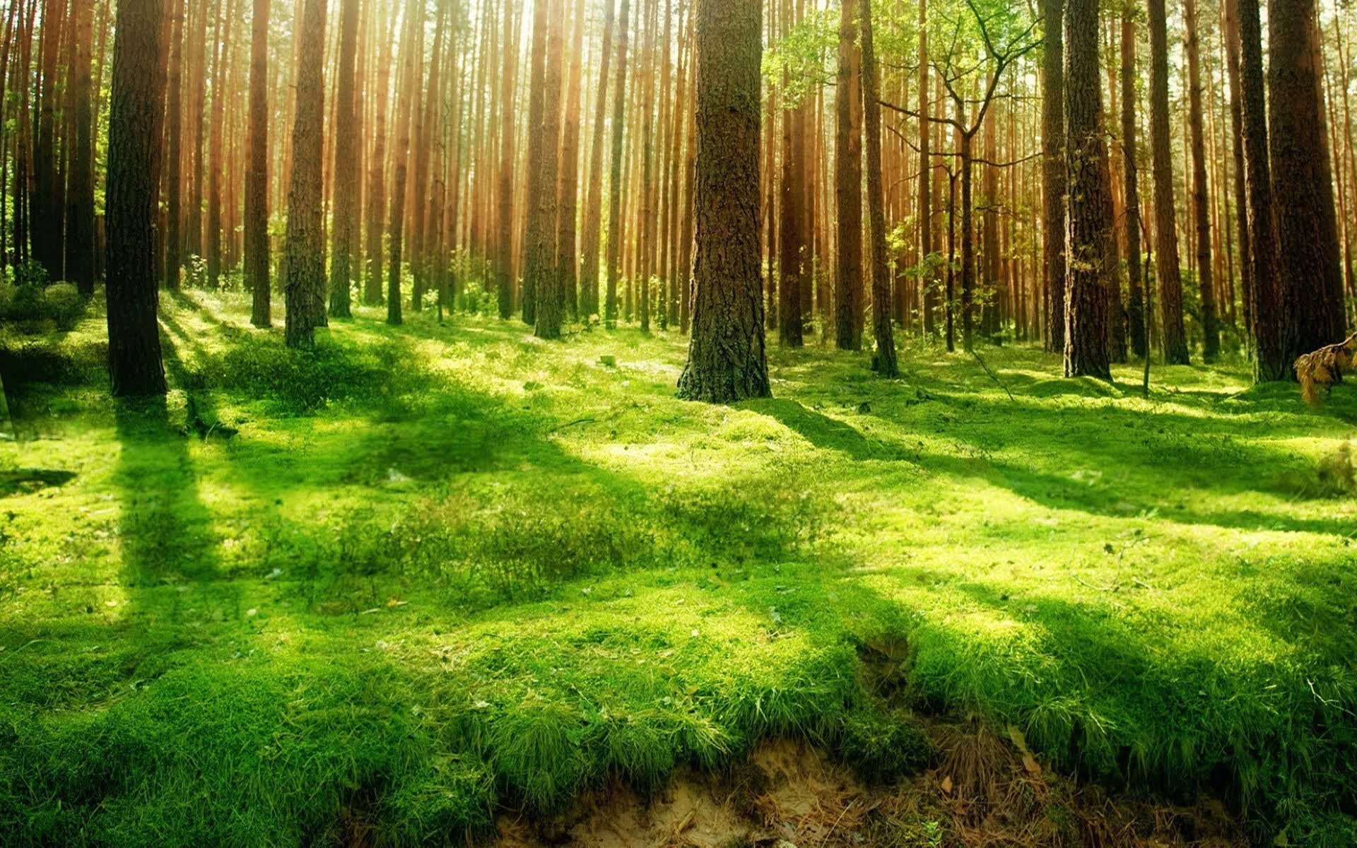世界登山青年导师长期追踪研究第15期数据摘要发布,世界登山队排名