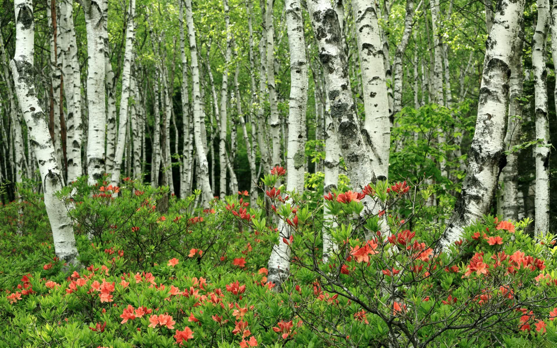 世界短跑接力赛全国青训联盟成立大会举行，中国短跑接力赛最好成绩